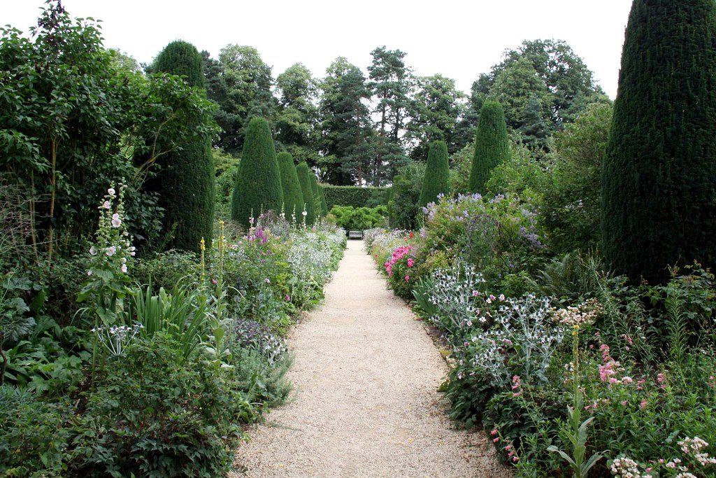 Established garden pathway winding through mature greenery